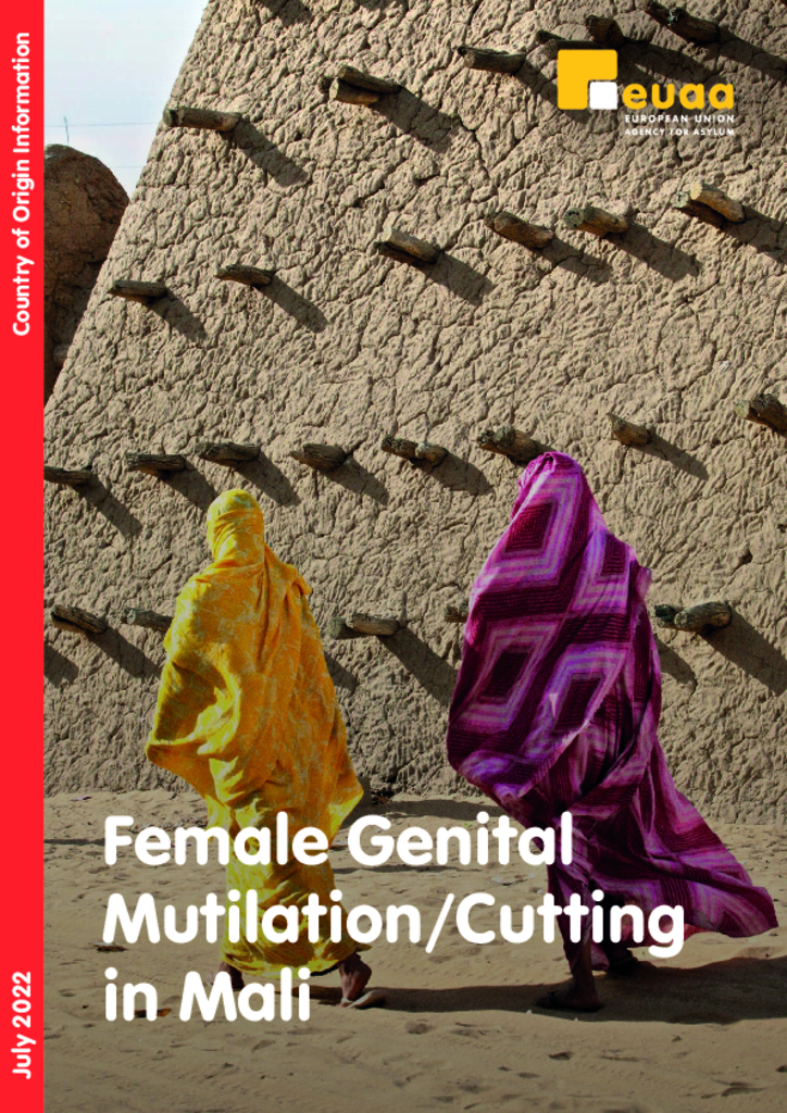 07_2022_coi_report_fgm_mali_en.png 07 2022 coi report fgm mali en